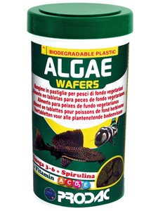 ALGAE WAFER 550 gr. - Peces de fondo